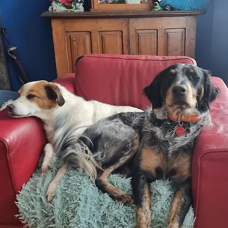 Staying With The Artist 招待所 3*