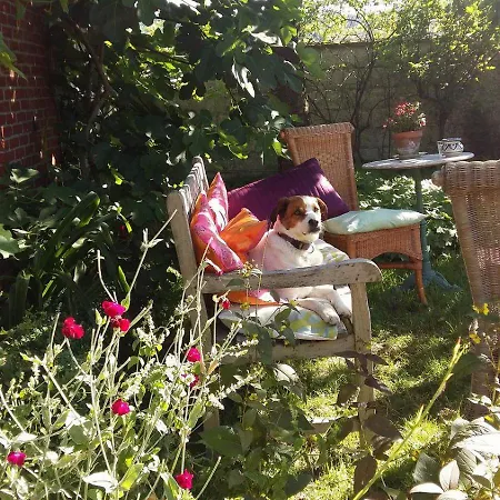 Staying With The Artist