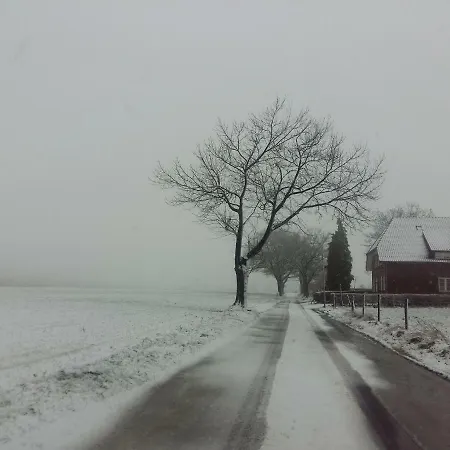 招待所 Staying With The Artist 3*