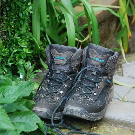 Staying With The Artist 招待所