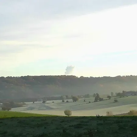 招待所 Staying With The Artist